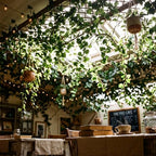 Tigeen 4 Pcs Jungle Party Decor Artificial Ivy Garland Vines and Twigs - Image 4