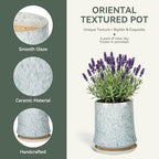 11 Inch Ceramic Planter Pot with Saucer Drainage Leak-Proof Mesh,Flower Pots for Lavender with Gardening Gloves,Ceramic Planter for Orchid(Light Blue) - Image 3