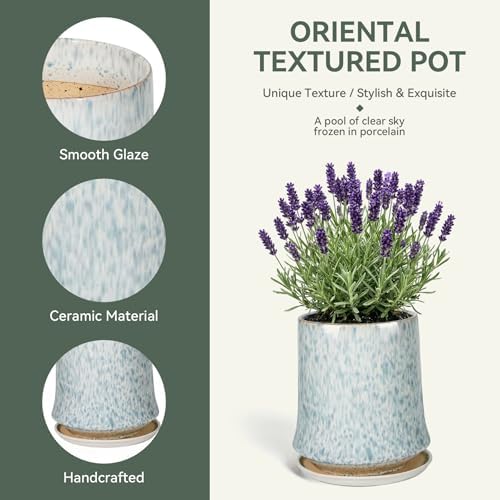 11 Inch Ceramic Planter Pot with Saucer Drainage Leak-Proof Mesh,Flower Pots for Lavender with Gardening Gloves,Ceramic Planter for Orchid(Light Blue) - Image 3