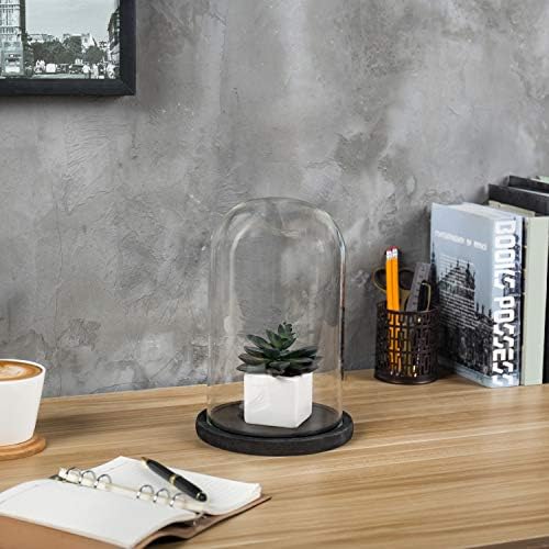 MyGift Bell Jar Glass Cloche Black Wood Base 10 Inch Display Dome - Image 4