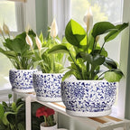 SQOWL Ceramic Pots for Plants - 8 inch Ceramic Planter with Drainage Hole and Saucer, Round Flower Pots for Indoor Plants, Porcelain Planter Outdoor, Porch Decor, Gifts for Women Men, Blue and White - Image 6