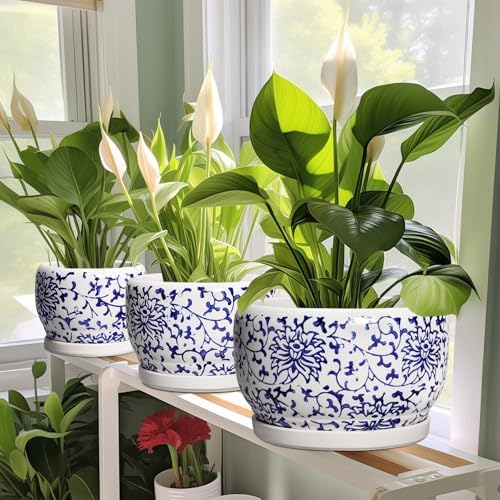 SQOWL Ceramic Pots for Plants - 8 inch Ceramic Planter with Drainage Hole and Saucer, Round Flower Pots for Indoor Plants, Porcelain Planter Outdoor, Porch Decor, Gifts for Women Men, Blue and White - Image 6