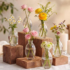Hushee 12 Pcs Bud Vases Bulk Glass Small Vases for Flowers, Tall by Hushee