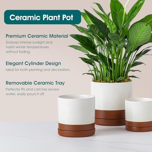 vancasso Ceramic Plant Pots, 3 Piece Planters for Indoor Plants, Khaki - Image 6