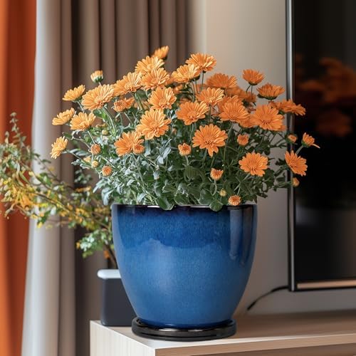 8 Inch Planter - Ceramic Plant Pot with Drainage Hole and Tray Round Planter Modern Flower Pot for Room Home Office Patio Porch Garden Decor Blue - Image 2