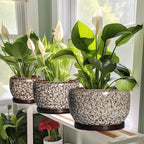 SQOWL Ceramic Planter - 8 inch Plant Pot Indoor with Drainage Hole and Plant Saucer, Round Ceramic Flower Pots Outdoor, Decorative Modern Planter, Office Kitchen Decor, Gifts for Women Men, White - Image 6