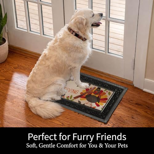 Evergreen Sassafras Fall Christmas Holiday Doormat Insert Bundle & Tray Set of 5, Interchangeable Entrance Door mats Indoor and Outdoor Welcome Mat 30 x 18 Tray Non Slip Backing Low Profile - Image 6