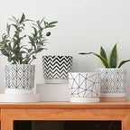 Plant Pots,5.5 Inch White Pots for Indoor Plant with Drainage Hole Set of 4 - Image 3