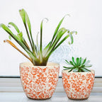 GnFlus Vintage Flower Pot Rustic Plant Pot Large Ceramic Planters for Indoor Plants Pots with Drainage Shabby Chic Planter Pots for Succulents Cactus Herb Snake Plants Outdoor Garden, 7.6/5.5 Inch - Image 3