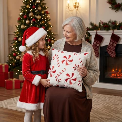 Tiamon 4 Pcs Christmas Throw Pillow Covers 18 x 18 Inch Embroidered Plush - Image 5