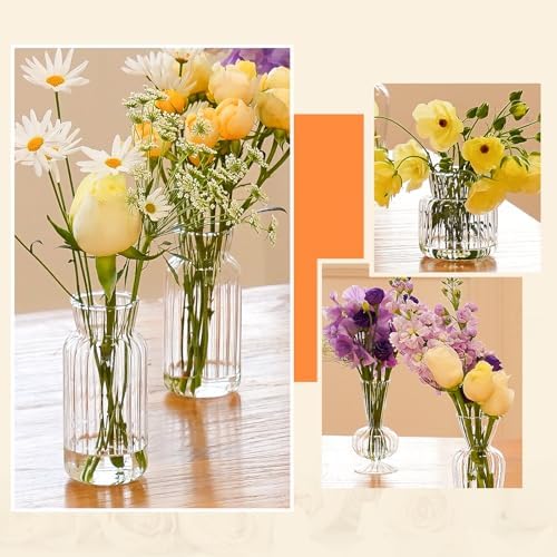 12 Pcs Ribbed Glass Bud Vases Set, 4 Styles Clear Small Flower Vases - Image 4