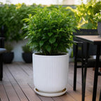 Deep Dream 10 Inch Ceramic Pots for Plants, Heavy Plant Pot for Indoor Outdoor Plants, Large Plant Pot with Drainage Hole and Saucer, Modern Tall Flower Pot, Gifts for Plant Lovers, White - Image 4