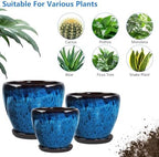Ceramic Plant Pots With Saucer & Drainage Hole, 8 inch Indoor Flower Pots - Image 6