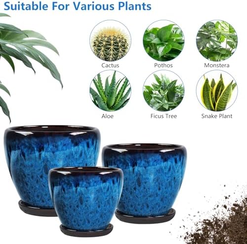 Ceramic Plant Pots With Saucer & Drainage Hole, 8 inch Indoor Flower Pots - Image 6