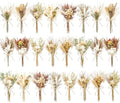 12/24PCS Handmade Dried Flower Bouquet with Stems Natural Dried Wildflowers 7.5 Inch Mini Dry Flowers for Vase Farmhouse Decor, Wedding Styling, Photography Props, Gift DIY(24pcs, Rustic) by Unknown