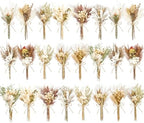 12/24PCS Handmade Dried Flower Bouquet with Stems Natural Dried Wildflowers 7.5 Inch Mini Dry Flowers for Vase Farmhouse Decor, Wedding Styling, Photography Props, Gift DIY(24pcs, Rustic) by Unknown
