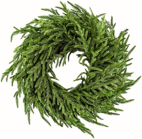 ENVEN 24" Norfolk Pine Wreath for Front Door, Real Touch Norfolk Pine Wreath Artificial Green Wreath Greenery Realistic Wreath Holiday Decoration for Home Decor by ENVEN