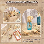 Layhit 24 Pcs Mini Dried Flower Bouquets Boho for Vase, Stylish - Image 4