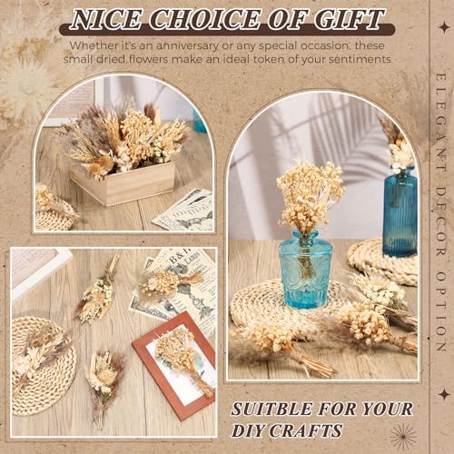 Layhit 24 Pcs Mini Dried Flower Bouquets Boho for Vase, Stylish - Image 4
