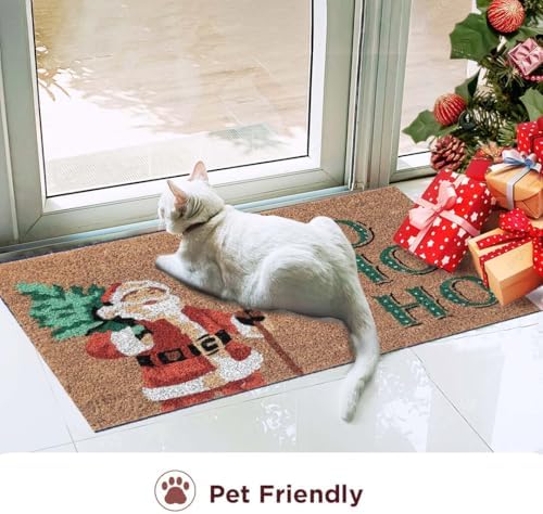 Folkulture Christmas Door Mat Outdoor, Eco Friendly Christmas Door Mats for Front Door, 28 X 16 Inch Welcome Matt or Doormat for Home Entrance, Durable & Anti Slip Coir Door Mats (Santa Clause) - Image 6