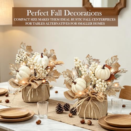 Timer - 2 Pack Fall Tabletop Maple Tree with 20LEDs - Image 5
