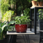 SQOWL Ceramic Plant Pots - 8 inch Planter with Drainage Hole and Tray, Round Ceramic Planter for Indoor Outdoor, Modern Decorative Flower Pot, Home Room House Decor, Plant Lovers Gifts, Red - Image 5