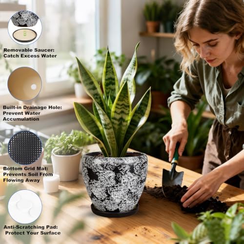 Ceramic Plant Pots With Saucer & Drainage Hole, 8 inch Indoor Flower Pots - Image 4