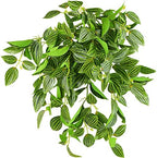 FiveSeasonStuff Watermelon Peperomia Real Touch Hanging Plant, 2 Stems by FiveSeasonStuff