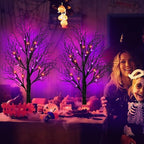 Halloween Decorations Indoor 2 Pack 24 Inch Black Halloween Tree with 48 Orange Purple Led Lights, Timer/USB/Battery Operated Lighted Tabletop Spooky Tree for Table Home Office Party Decor - Image 7