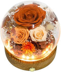 Long-Lasting Real Flowers - Unique Floral Gift For You To Send Love by ValleyofRainForest