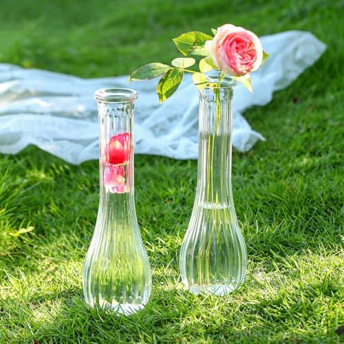12 Pcs Clear Ribbed Glass Bud Vases for Centerpiece 8.5 Inch - Image 5