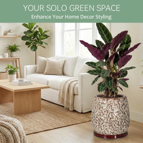 10.3 Inch Ceramic Glaze Plant Pot with Saucer, Flower Pots with Drainage Hole Mesh Net (Spot White) - Image 2