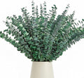50 Pcs Preserved Eucalyptus Stems, 17in Real Dried Eucalyptus for Shower by Oning