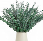 50 Pcs Preserved Eucalyptus Stems, 17in Real Dried Eucalyptus for Shower by Oning