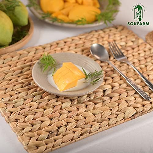 Water Hyacinth Rectangular Placemats Set of 8, 17 x 12 Inch Woven Rattan Table Mats for Dining Table, Heat Resistant Wicker Place Mats for Rectangular Tables, Boho Farmhouse Kitchen Decor - Image 6