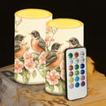 Robin Bird Flameless Candles 2 Pack 6 x 3 inch Battery Operated Candles with Multicolor Timer Remote Control LED Fake Candles for Warm Light Dinner Table Home Decor by WelcometoLuarisgur