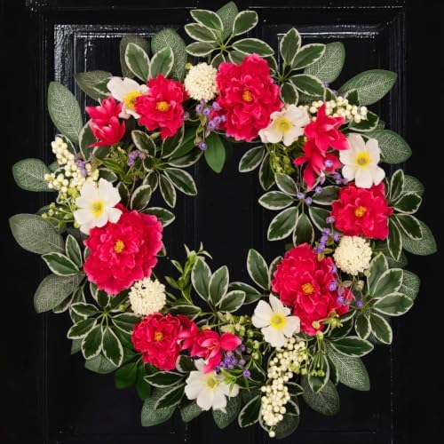 24 Inch Summer Floral Wreath, Vibrant Hot Pink Peony Wreath with White Anemone, White Berry & Variegated Foliage,Artificial Flower Wreath for Front Door Porch Wall Window Farmhouse Holiday Home Decor by wwmira