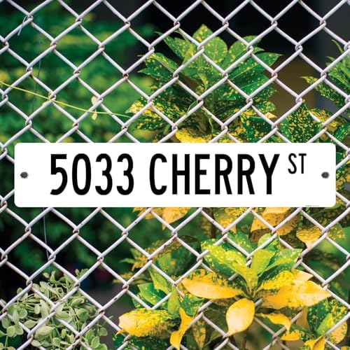 Custom Street Sign, Personalized Novelty Road, Blue Border, Christmas - Image 4