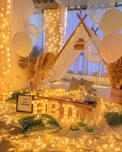 Warm White Christmas Lights Outdoor Total 710FT 1800 LED , 2 Packs 900 LED Outdoor String Waterproof, Timer & Memory, 8 Modes Dimmable Plug in Fairy for Outside Tree Holiday Party Wedding Decor - Image 3
