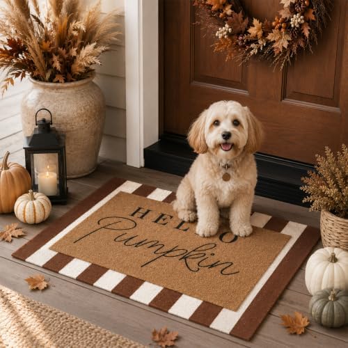 Tinideya 2 Pcs Hello Pumpkin Doormat Set, Brown White - Image 5