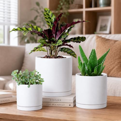 D'vine Dev 3-Pack White Terracotta Pots & Saucers, 4/5/6 in, 40-T-A-1 - Image 5