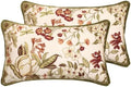 ISAENNE Designer Velvet Throw Pillow Covers,20"x12" Set of 2-Grace A by Isaennehomedecoration