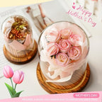 2 Pack Glass Cloche Domes with Wooden Bases, Glass Display Bell Jars - Image 2