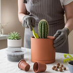 D'vine Dev 3-Pack Classic Terracotta Pots & Saucers, 5/6/8 in, 40-T-B-0 - Image 2