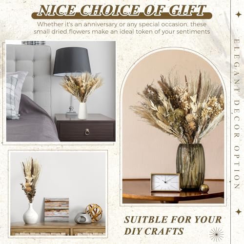 Layhit 4 Pack Large Size Boho Dried Flowers 15-17 Inch, Classic - Image 3