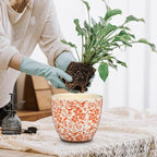 GnFlus Vintage Flower Pot Rustic Plant Pot Large Ceramic Planters for Indoor Plants Pots with Drainage Shabby Chic Planter Pots for Succulents Cactus Herb Snake Plants Outdoor Garden, 7.6/5.5 Inch - Image 4