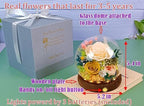 Long-Lasting Real Flowers - Unique Floral Gift For You To Send Love - Image 2
