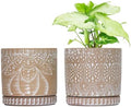 6 Inch Indoor Plant Pots with Drainage Holes and Saucers, Ceramic Planter for Plants, Flower Pot - Set of 2 by YFFSRJDJ