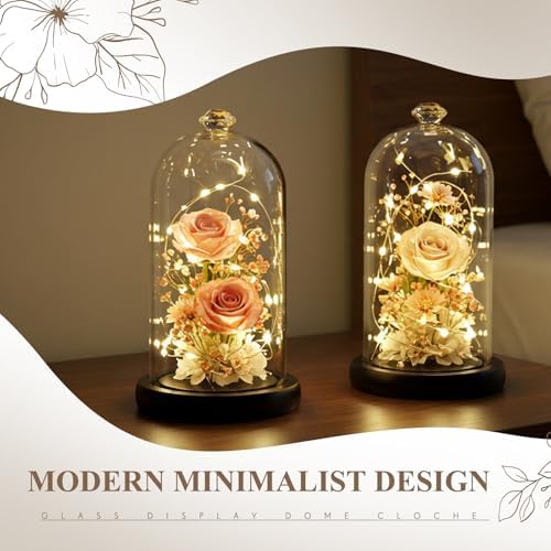 Suclain 2 Pcs 6 x 10 Inch Cloche Glass Dome with Base Bell Jar, Black - Image 5