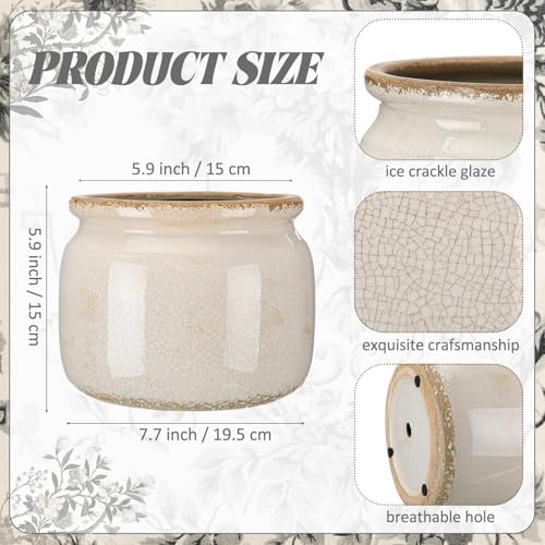 7.7″ Large Vintage Ceramic Plant Pot Pure Beige Rustic Planter with Ice Crackle Glaze & Drainage Hole for Indoor Outdoor Plants Farmhouse Home Kitchen Office Decor Gift for Women Teacher - Image 2